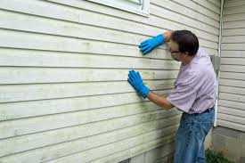 Best Aluminum Siding Installation  in Shawneetown, IL